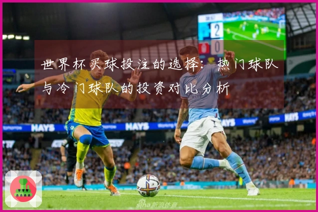 世界杯买球投注的选择:热门球队与冷门球队的投资对比分析