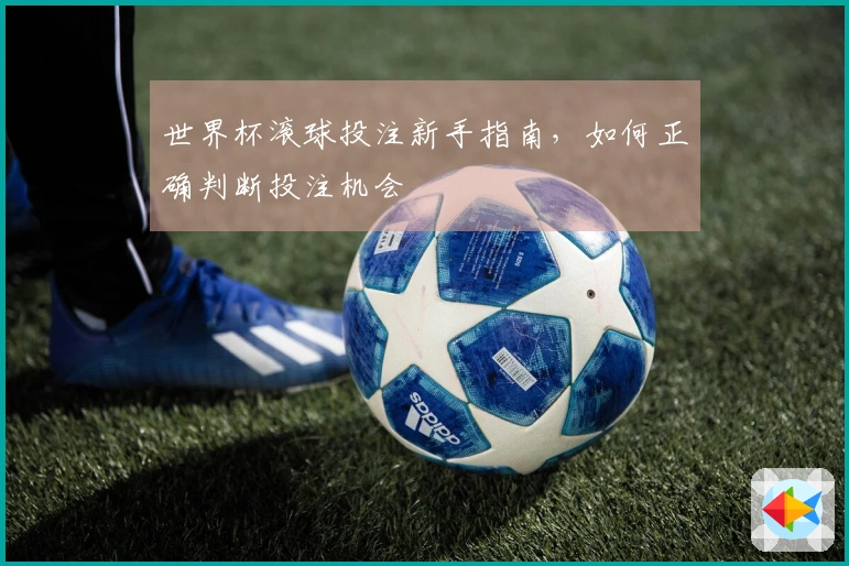世界杯滚球投注新手指南,如何正确判断投注机会